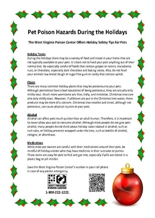 Pet Poison Hazards During the Holidays