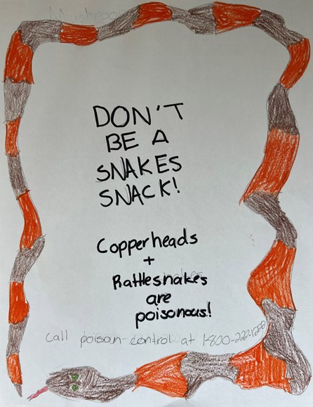 Hailey Goldsberry Poster