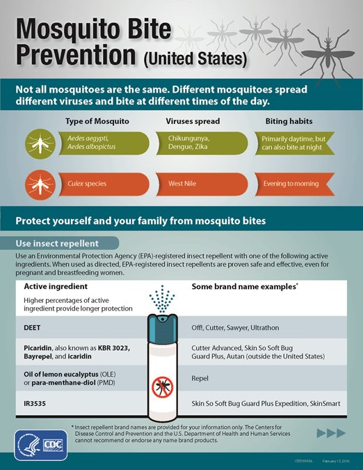 Mosquito Bite Prevention Handout Page 1