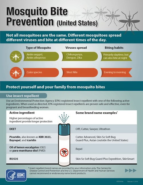 Mosquito Bite Prevention Handout Page 1