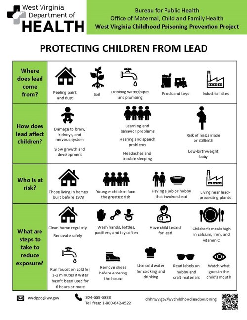 Protecting Children from Lead infographic
